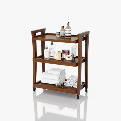 CARRITO TERAPEUTA 3 NIVELES CURVAS 0.62X0.75X35M