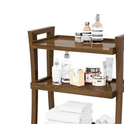 CARRITO TERAPEUTA 3 NIVELES CURVAS 0.62X0.75X35M