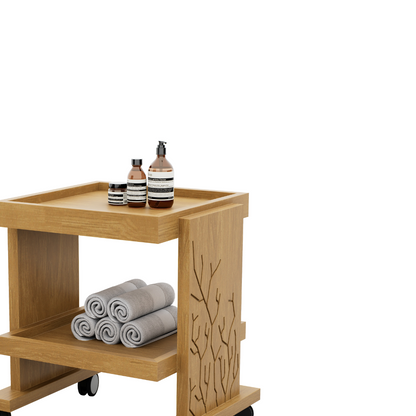 CARRITO AUXILIAR PEDICURE 2 NIVELES CORAL 0.32X0.40X0.34M