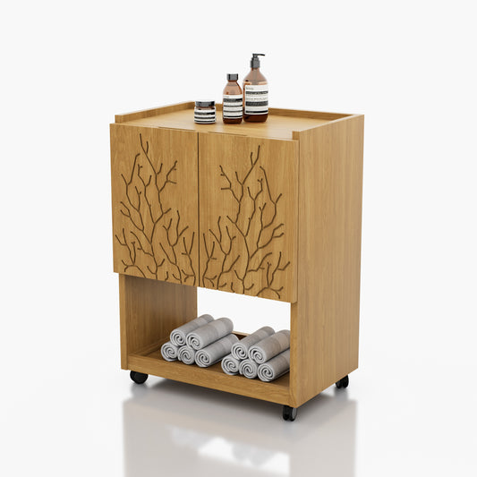 CARRITO AUXILIAR TERAPEUTA CORAL 2GVT 0.55X0.75X0.37M
