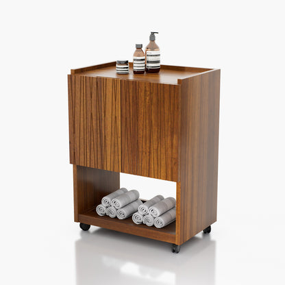 CARRITO AUXILIAR TERAPEUTA PALMA 2GVT 0.55X0.75X0.37M