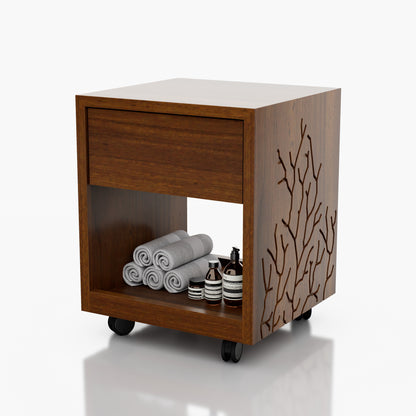 CARRITO AUX PEDICURE 1 CJN CORAL CH 36x45x34 cm 0.36X0.45X0.34M