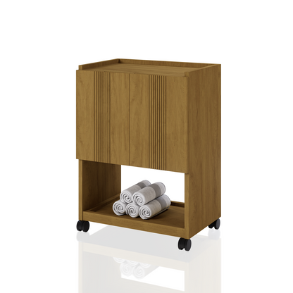 CARRITO AUX TERAPEUTA GYB 2 GVTAS 0.55X0.75X0.37M