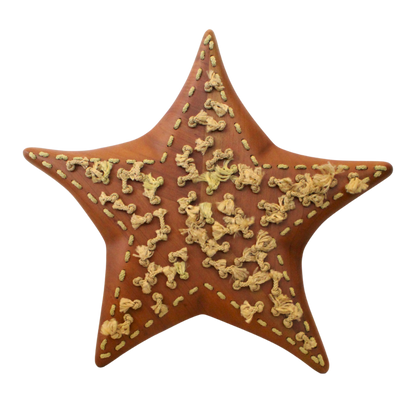 CUADRO ESTRELLA GDE