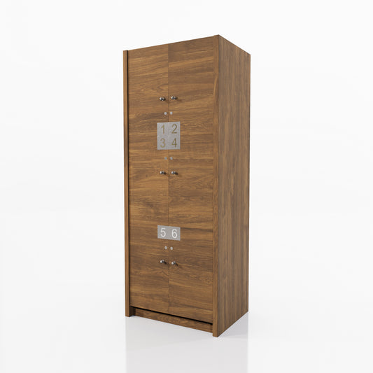 LOCKER VESTIDOR 6 CASILLEROS SPM CON CERRADURAS DE LLAVE 0.82X2.10X0.60M