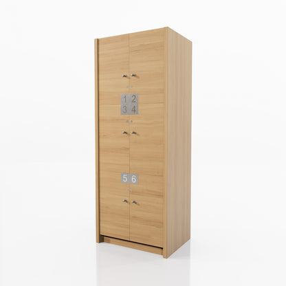 LOCKER VESTIDOR 6 CASILLEROS SPM CON CERRADURAS DE LLAVE 0.82X2.10X0.60M